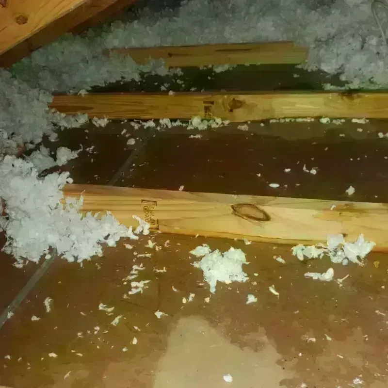 Attic Water Damage in Timpson, TX