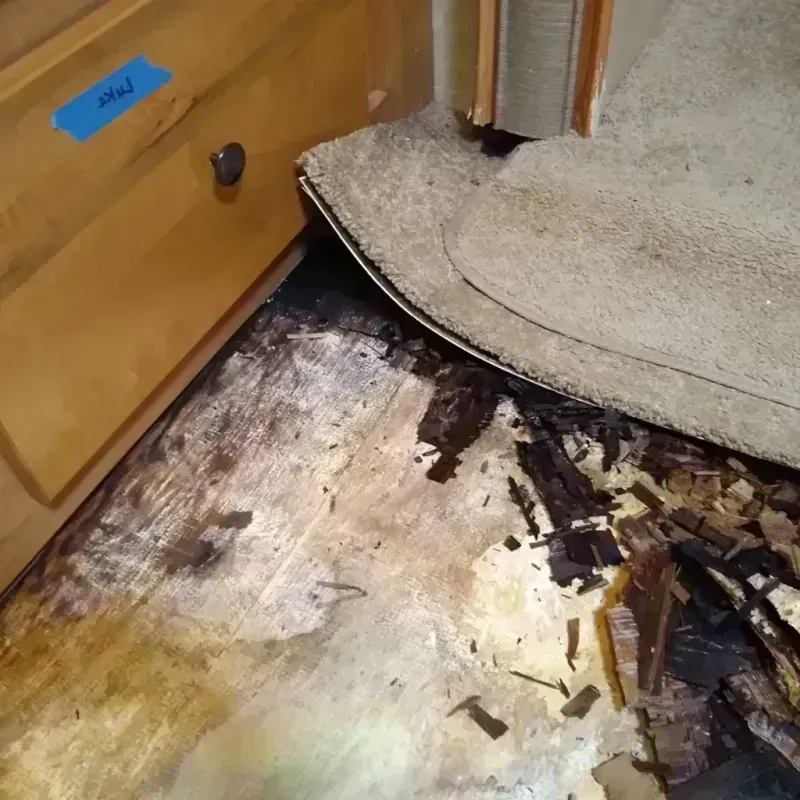 Wood Floor Water Damage in Timpson, TX